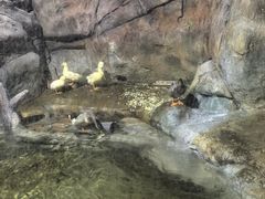 -福州罗源湾海洋世界旅游区