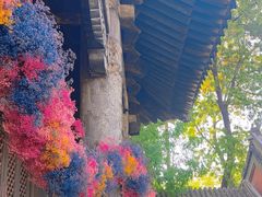-嵩祝寺及智珠寺