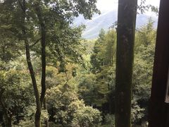 -莫干山风景区