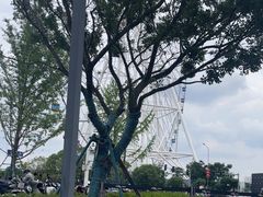 -南昌之星摩天轮