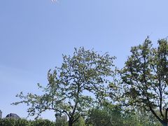 -泰丰公园