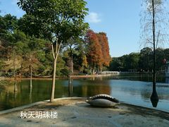 -广州市白云山风景名胜区