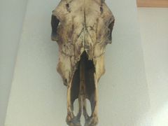 -丁记盐蘸牛肉·新杭菜(河东路店)