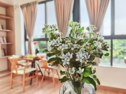 点击看大图 -思怡瑜伽·普拉提·减脂塑形