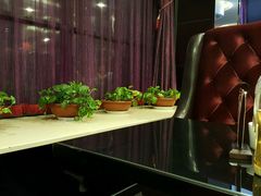 -高第街56号餐厅(邹城新一中店)