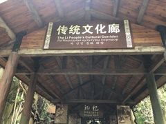 -海南槟榔谷黎苗文化旅游区