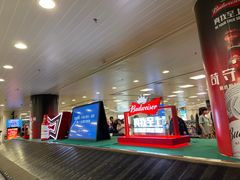 -厦门高崎国际机场-T3航站楼