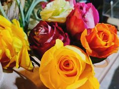 -Jo's Garden