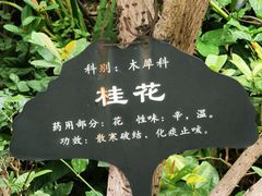 -广州中医药大学第一附属医院(总院)