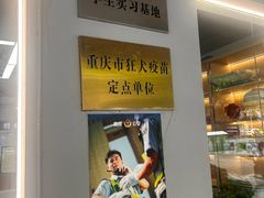 -贝利宠物医院·骨科·眼科·肿瘤转诊中心(南坪诊疗中心)