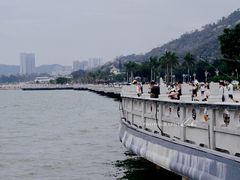 -野狸岛