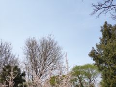 -蛮横肉蟹煲(印象城店)