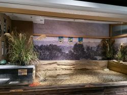 -造物庄园 萌宠纪(苏州湾歌林公园店)