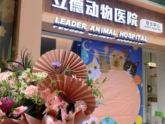 -立德24H动物医院·夜诊·转诊中心·1.5T核磁共振(海珠店)