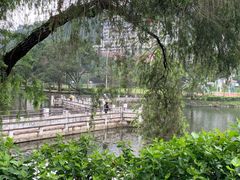 -大埔公路-马料水段香港中文大学(公交站)