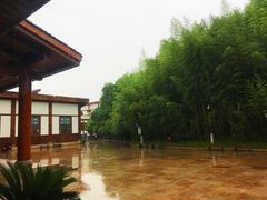-邓小平故里