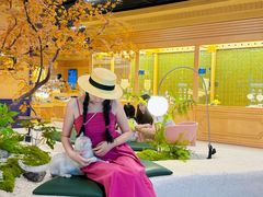 -帕帕拉兹宠物(亚洲旗舰店)