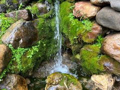 -大连天门山国家森林公园