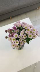 -痘敏医生专业祛痘连锁