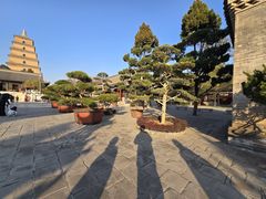 -大慈恩寺(大雁塔)