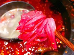 菊花郡肝-重庆渝达老火锅(春熙路店)