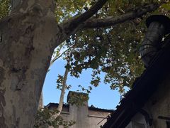 -Vinup薇葡·葡萄酒自助Bar(江宁路店)