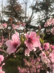 -大望京儿童游乐场