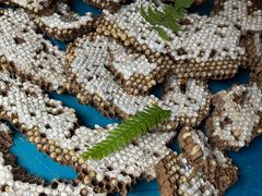 -西双版纳集贸市场