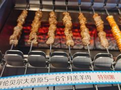 Remix羊肉串-很久以前羊肉串(朝阳路店)