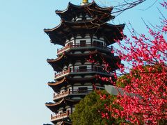 -洋湖国家湿地公园