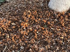 -敬亭山风景名胜区