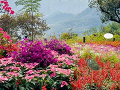 -广州市白云山风景名胜区