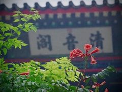 -陶然亭公园