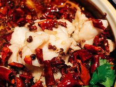 江北水煮鱼-Mountain House East Village 川山甲