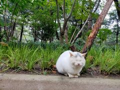 -吴淞炮台湾湿地森林公园烧烤区