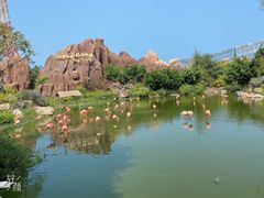 -芽庄珍珠岛游乐园