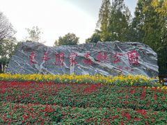 -东平国家森林公园