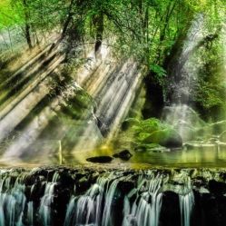 -薇兰专业脱毛连锁机构