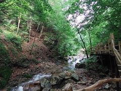 -本溪汤沟绿石谷森林公园