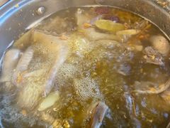 药膳乳鸽-百利鸽王(紫薇路店)