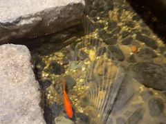 -邈墨茶馆(凤起路店)