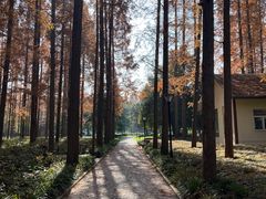 -上海怡沁园度假酒店