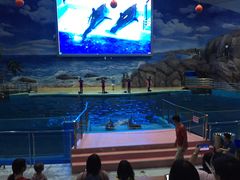 -福州罗源湾海洋世界旅游区