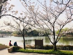 -新江湾城公园