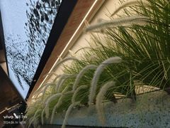 -淳沐源(观音桥店)