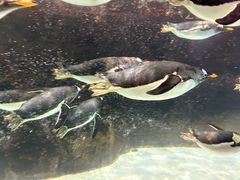 -成都浩海立方海洋公园