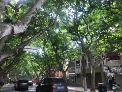 -璐坊粽王(复兴中路店)