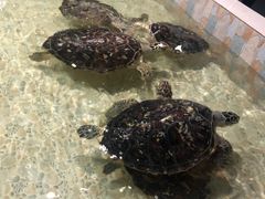 -常州海昌海洋探索馆