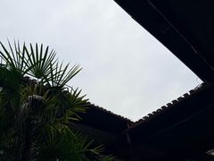 -李宗仁先生故居