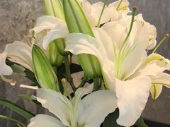 -潮州府·潮菜·砂锅粥(徐家汇店)